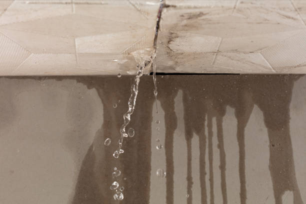 Professional Structural Drying technician working in Alum Creek, WV